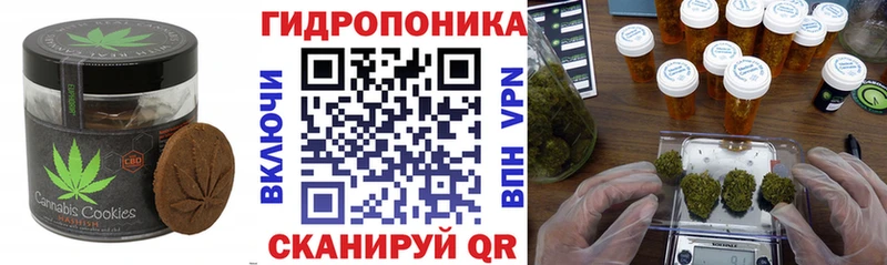 blacksprut   Кохма  Печенье с ТГК марихуана  что такое  