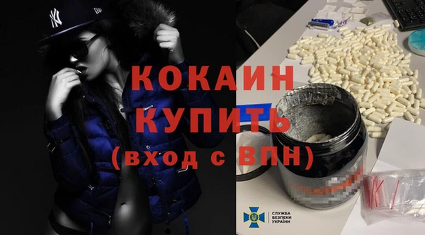 тгк Дмитров