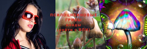 прущая мука Дмитриев