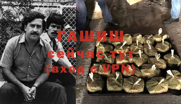тгк Дмитров