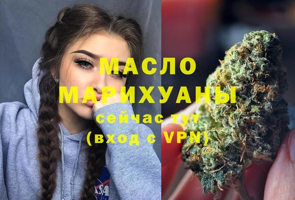 тгк Дмитров