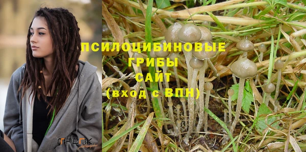 тгк Дмитров