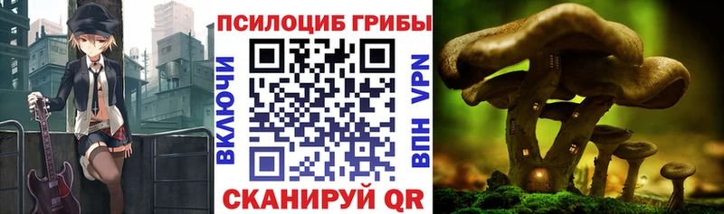 Псилоцибиновые грибы GOLDEN TEACHER  kraken tor  Кохма 